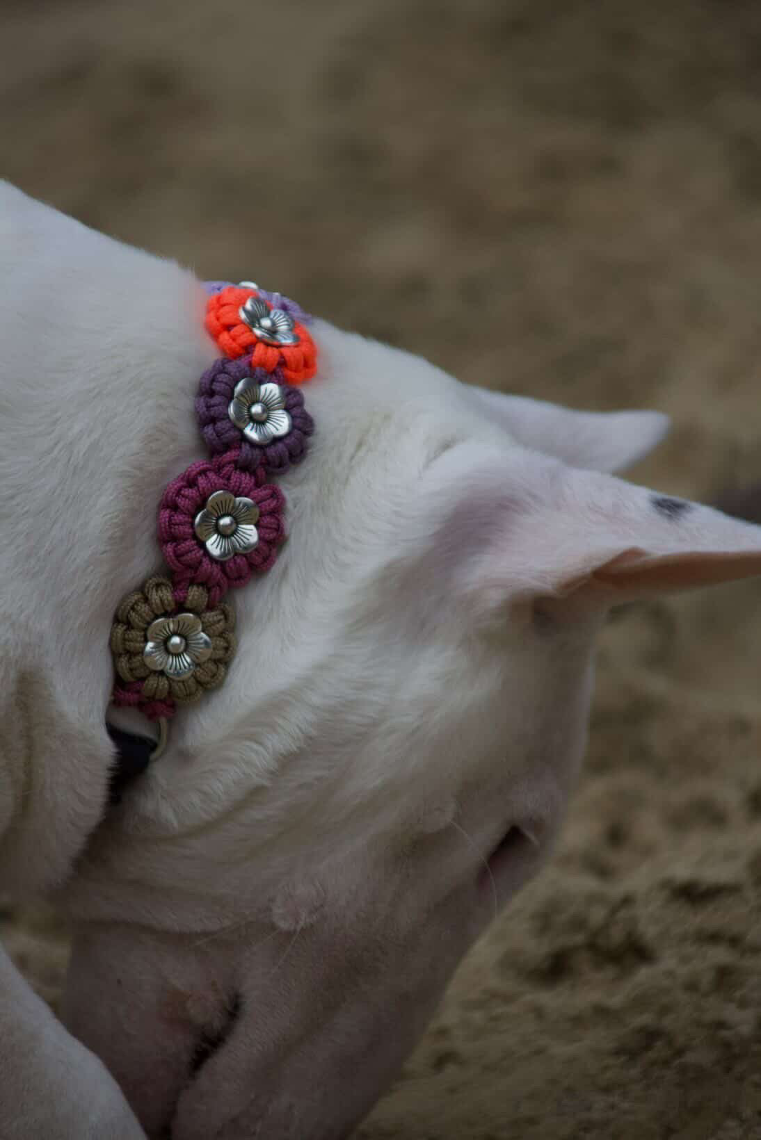 Blumen Halsband