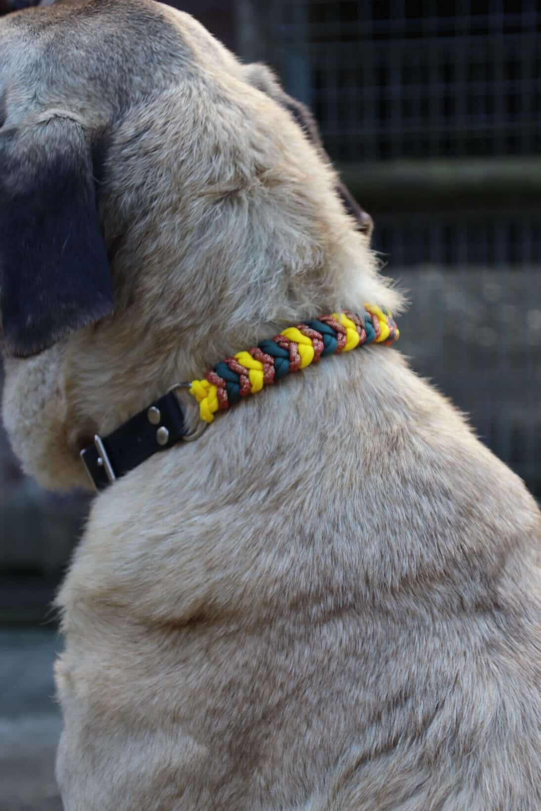 Halsband Snake Belly