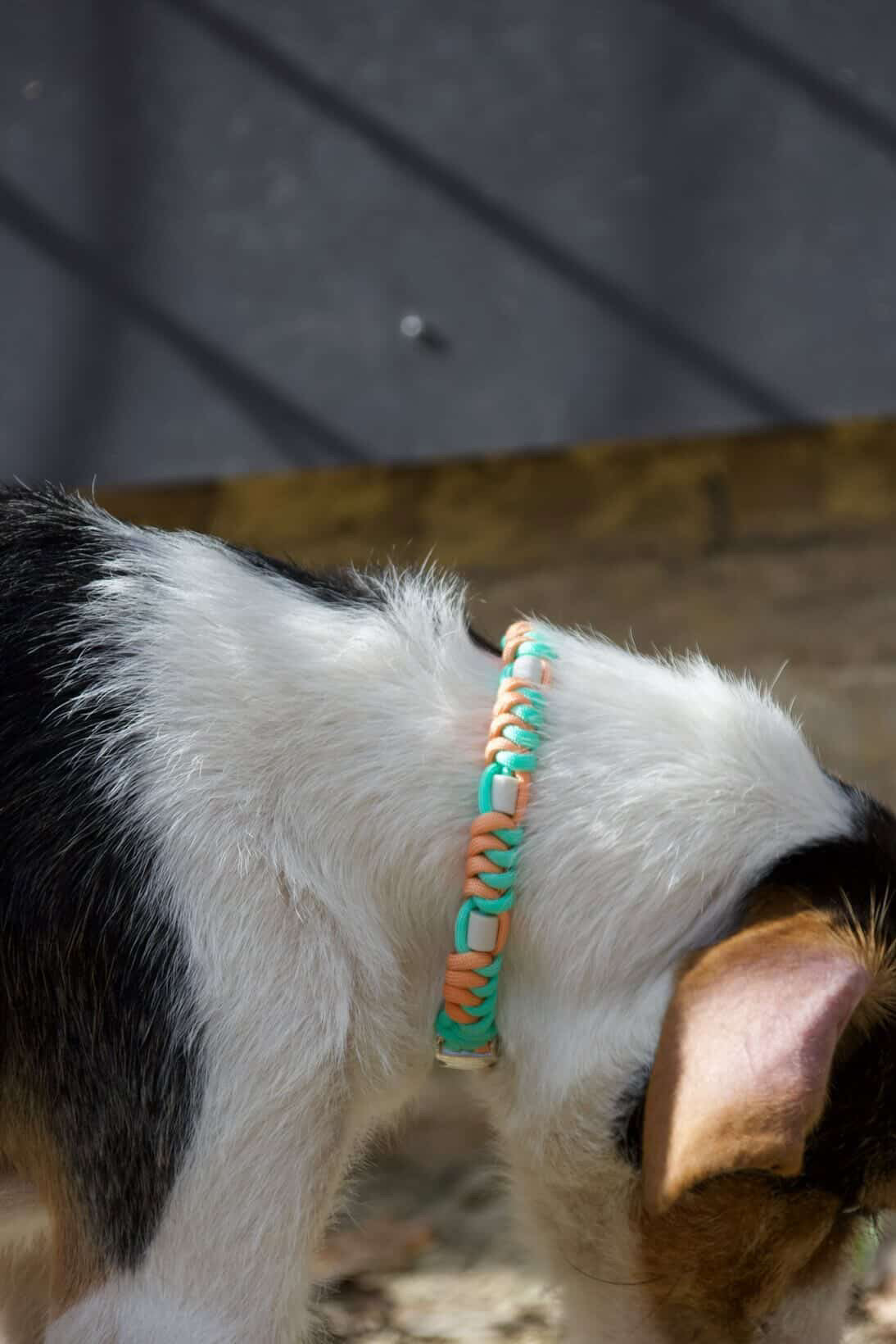 EM-Keramik Halsband