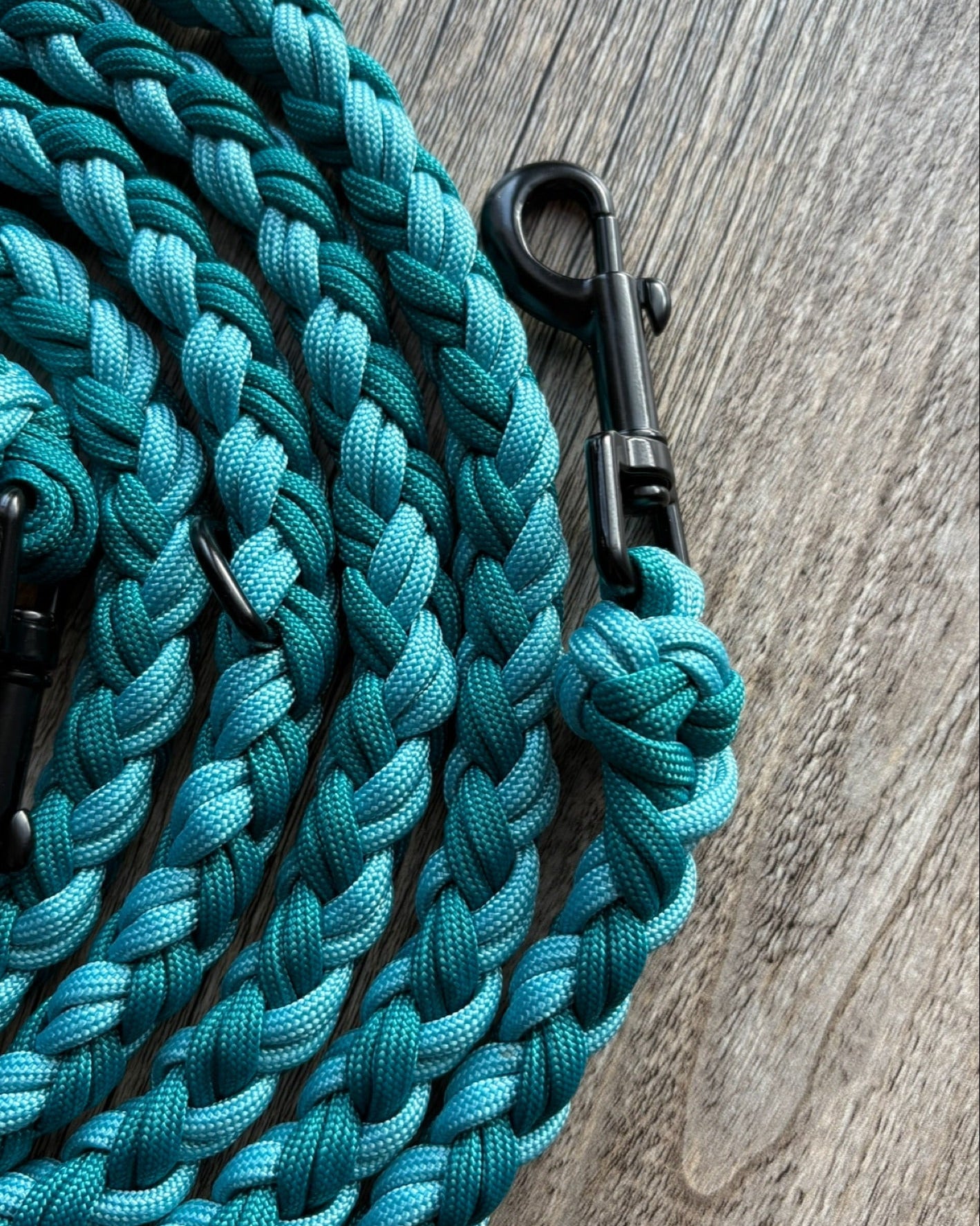 Leine Round Double Braid