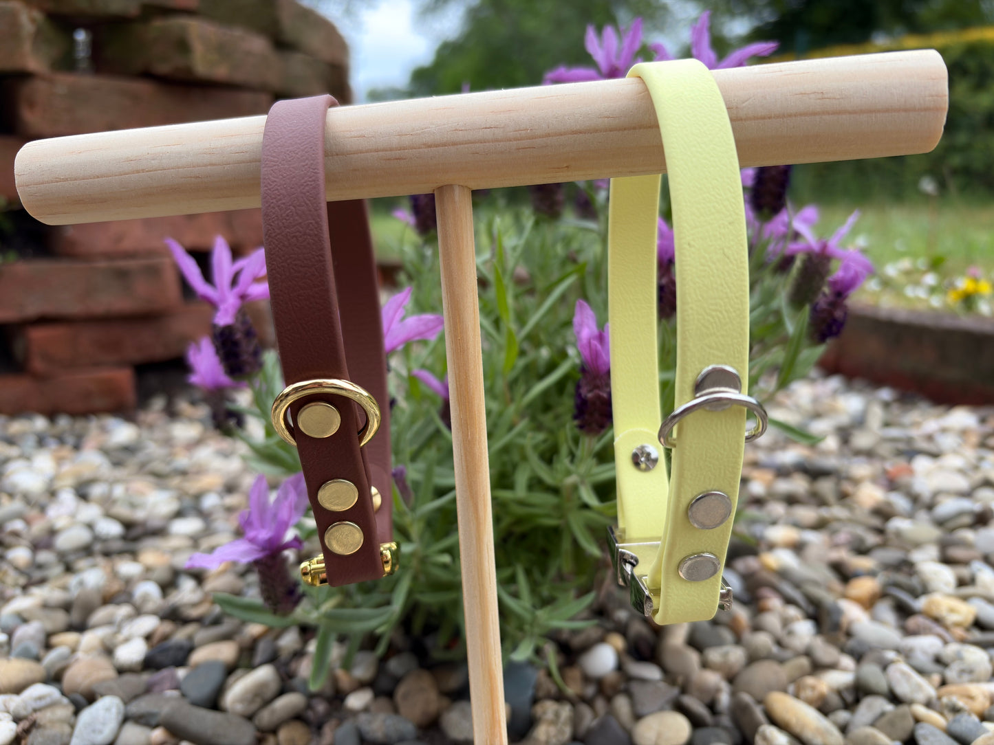 Biothane Halsband