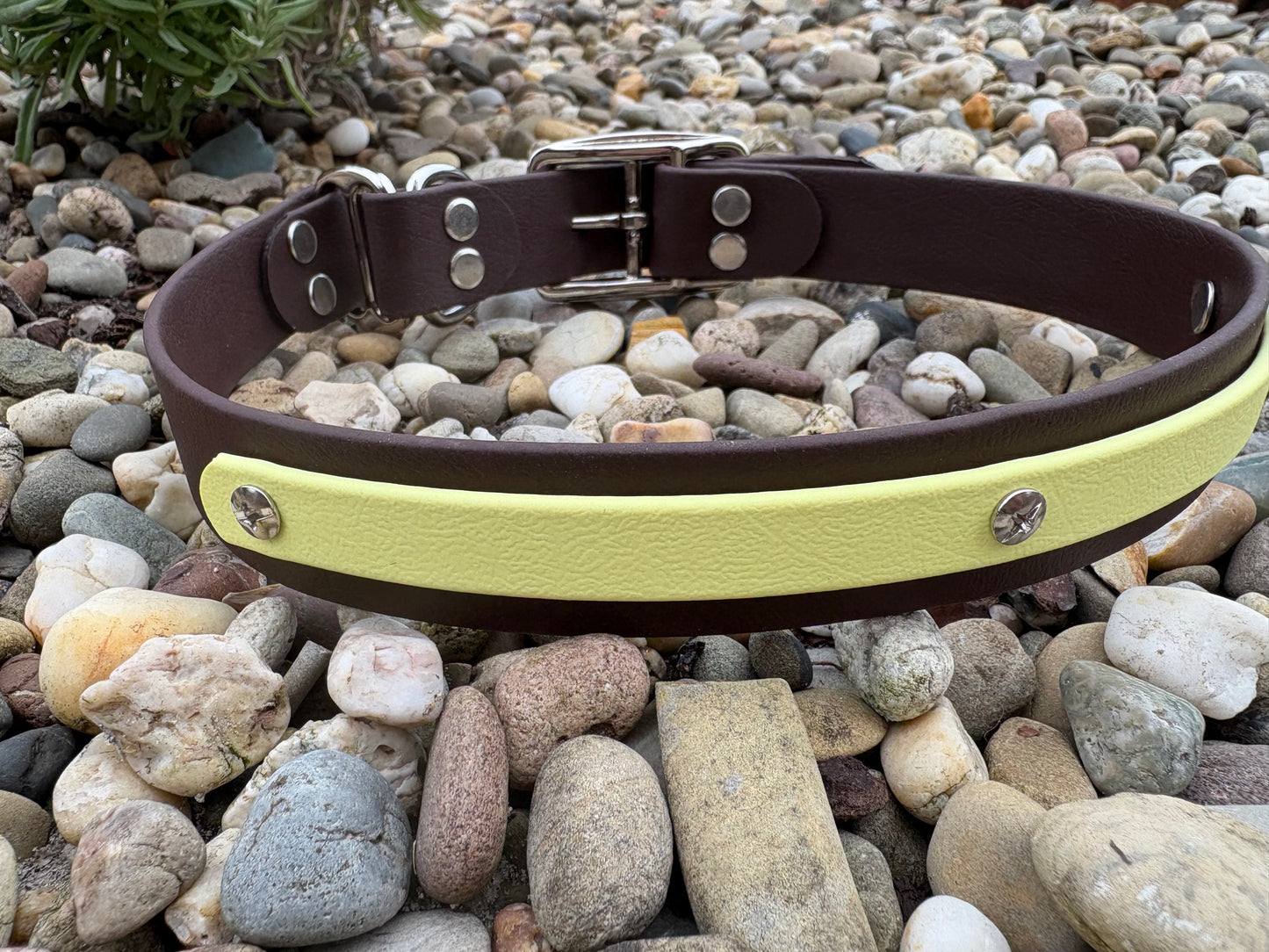 Biothane Halsband